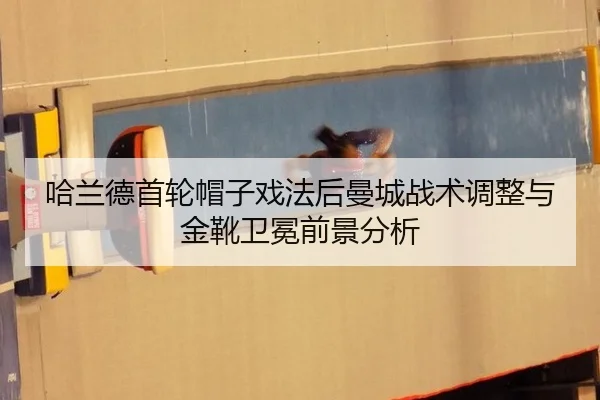 ha-lan-de-shou-lun-mao-zi-xi-fa-hou-man-cheng-zhan-shu-tiao-zheng-yu-jin-xue-wei-mian-qian-jing-fen-xi-3-472.jpg